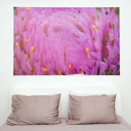 Galeria River Pensionat