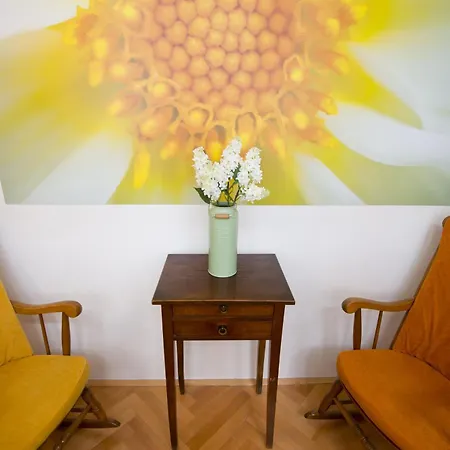 Galeria River Casa de hóspedes