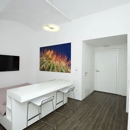 Casa de hóspedes Galeria River