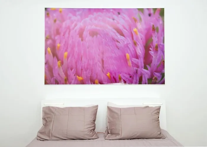 Galeria River בית הארחה